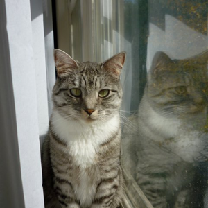 Amy Schrepfer-Tarter